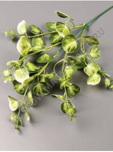 Ветка Эвкалипта монетчатого пластм. 14/37 см