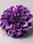 Георгин неткан 5сл 12см(бел крас гол сир сливоч фио)