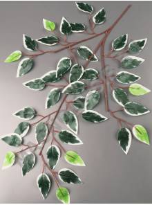 Ветка фикуса с белой кромкой эконом 61см