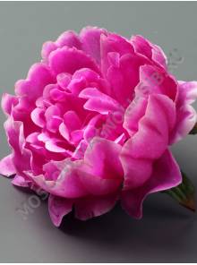 Пион "Зефир" неткан. 5 сл 11 см.(бел крас син сир роз-сир борд жёлт микс)