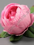 Пион шаровидный Тайфун хлопок 8сл 10см (бел сир роз перс борд микс)