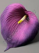 Калла Джунь Ян 12см мат. хлопок без пестика(бел мол крас-мал син борд фиол) (пестики см 2283 2212)