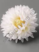 Хризантема кустовая хлопок 6сл 7см (бел борд гол крем желт пеп-сир)