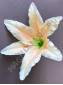 Лилия натуральная хлопок 1сл 17см без тычинки (крас лайм) (тычинка см. 2200. 2203 2211)