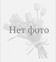 Изображение не доступно