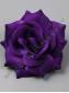 Роза цветная бархат 5сл 15.5см(борд син фиол крас фукс вишн микс)