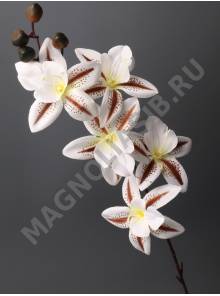 Ветка орхидей 5цвет+4 бут 62см (бел лайм мол сир свек) 